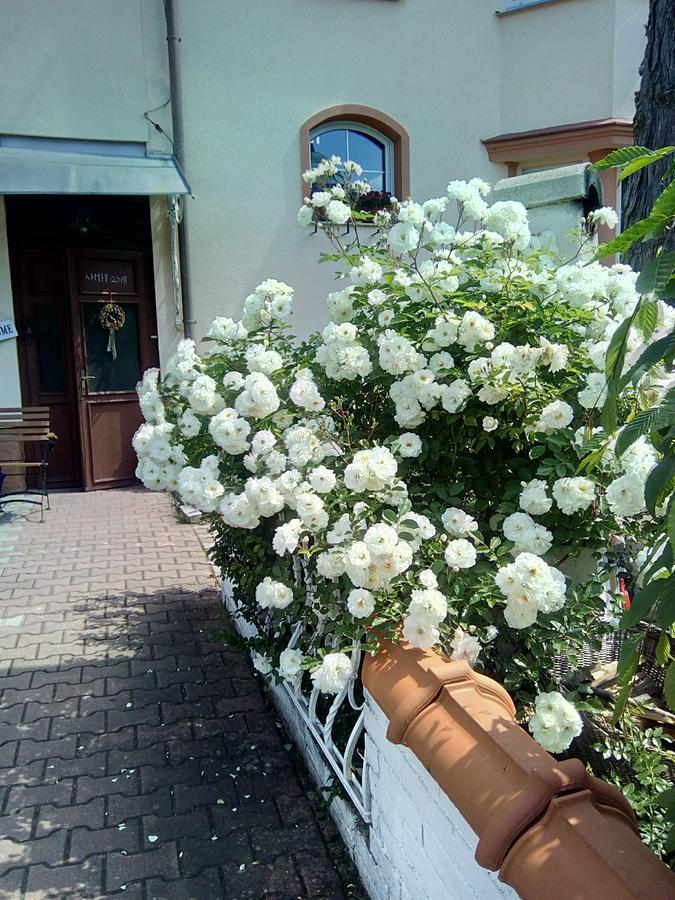 Penzion Villa Marion Mariánské Lázně Exterior foto